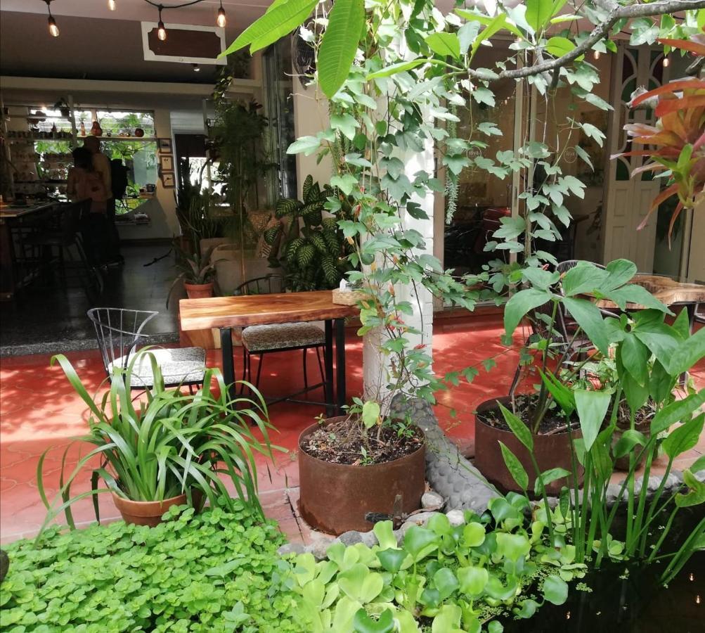 Cinco Hotel B&B サンサルバドル エクステリア 写真