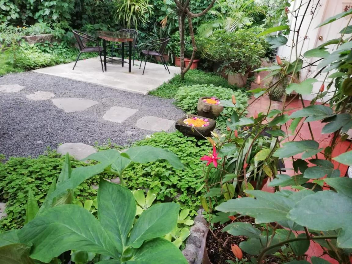 Cinco Hotel B&B サンサルバドル エクステリア 写真