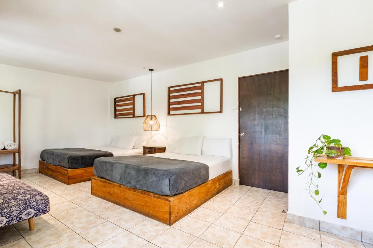Cinco Hotel B&B サンサルバドル エクステリア 写真