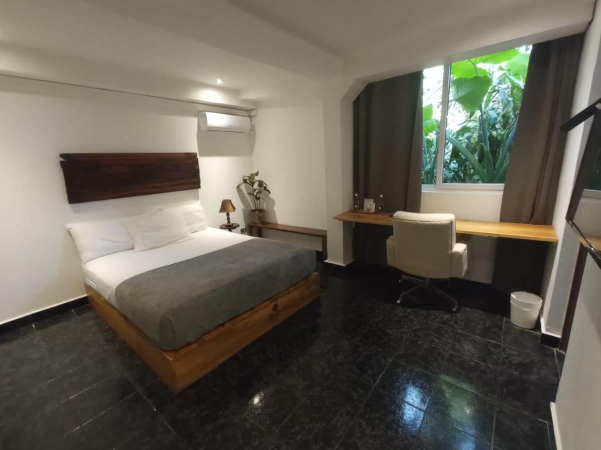 Cinco Hotel B&B サンサルバドル エクステリア 写真
