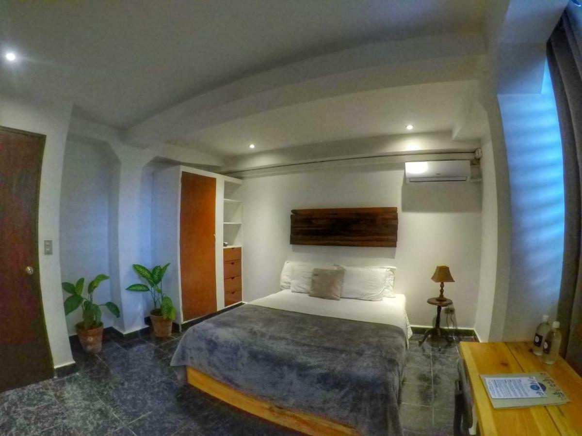 Cinco Hotel B&B サンサルバドル エクステリア 写真