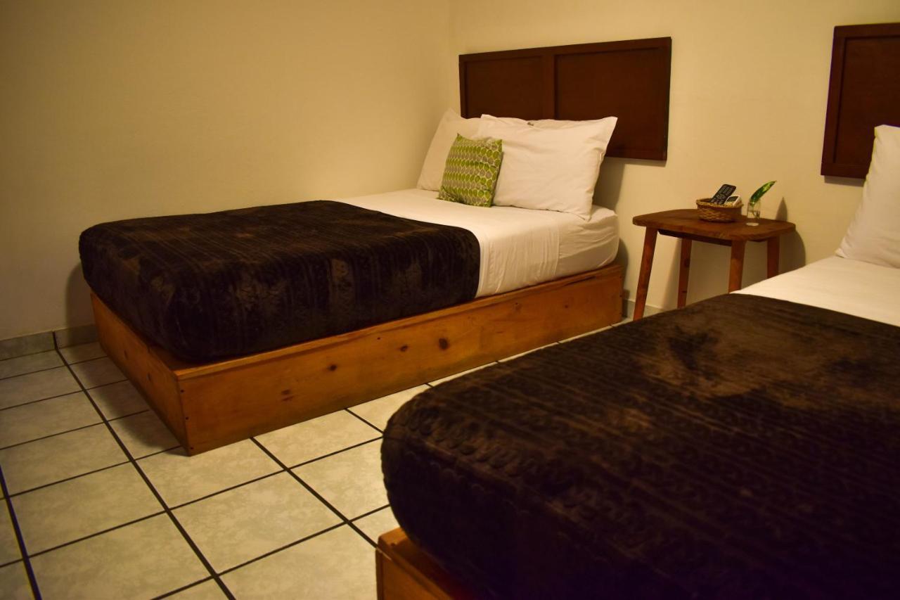 Cinco Hotel B&B サンサルバドル エクステリア 写真